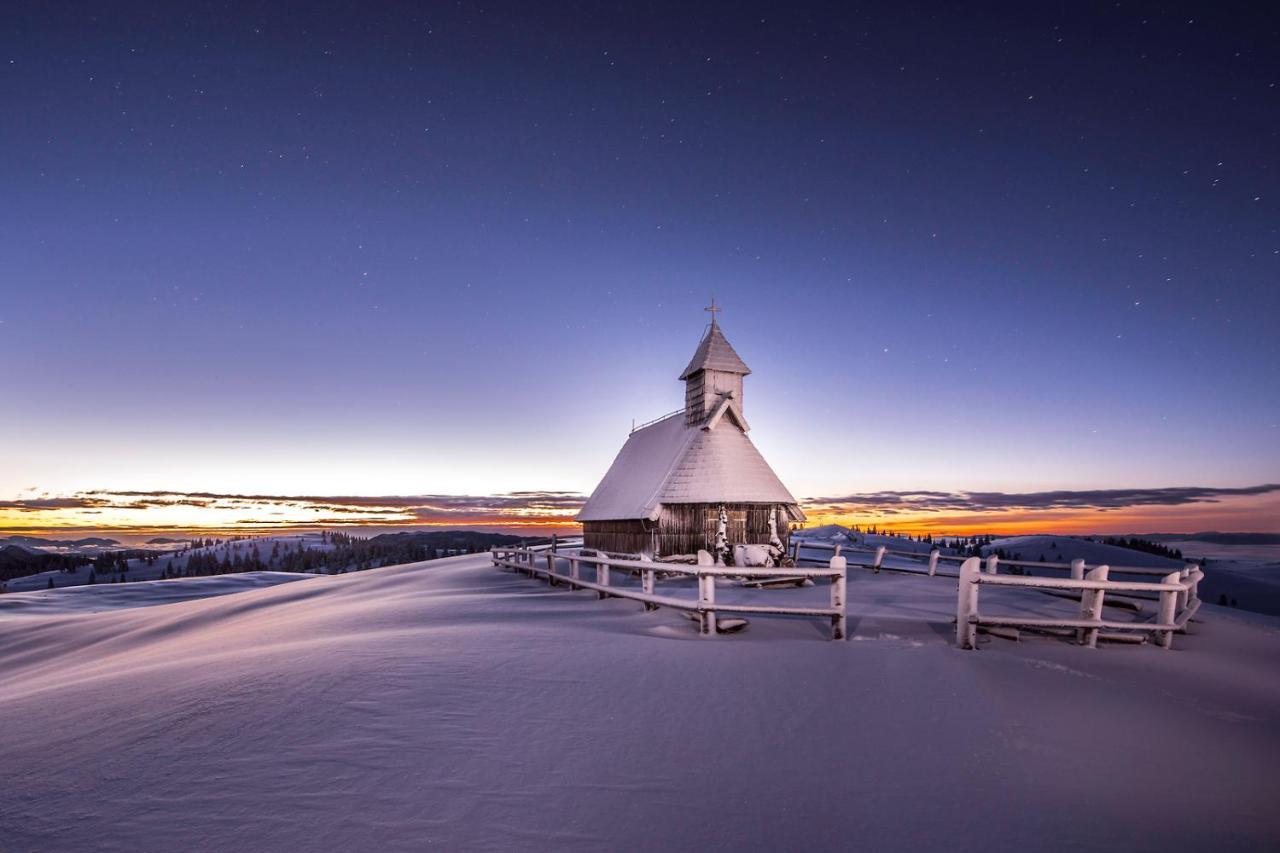Koca Ojstrica - Velika Planina Villa Stahovica Exteriör bild
