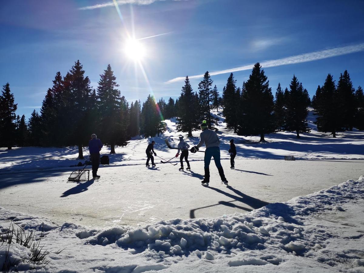 Koca Ojstrica - Velika Planina Villa Stahovica Exteriör bild