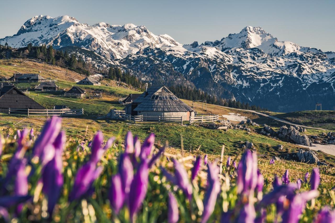 Koca Ojstrica - Velika Planina Villa Stahovica Exteriör bild