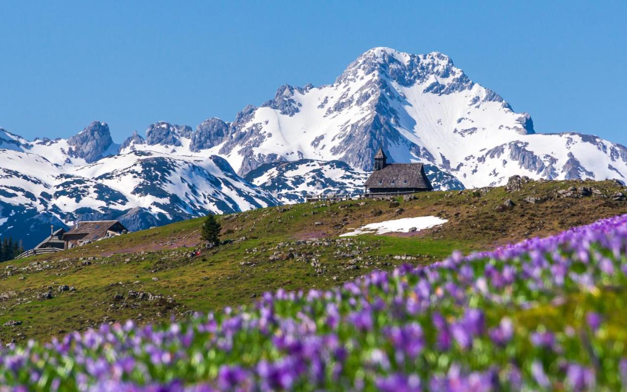 Koca Ojstrica - Velika Planina Villa Stahovica Exteriör bild