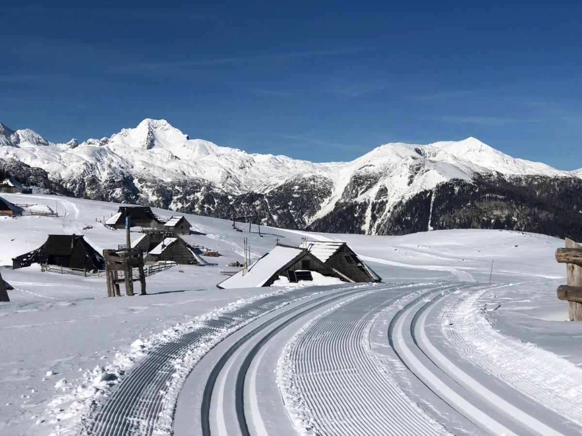 Koca Ojstrica - Velika Planina Villa Stahovica Exteriör bild
